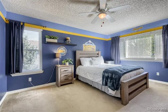 4969 Golden Valley Trail Castle Rock, CO 80109
