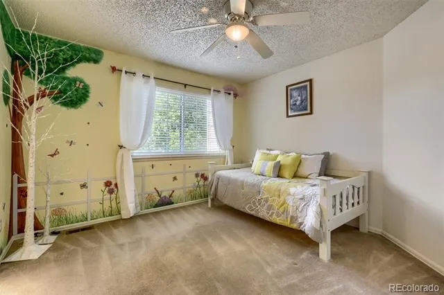 4969 Golden Valley Trail Castle Rock, CO 80109