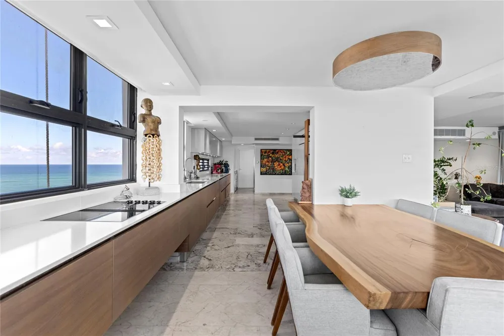 888 ASHFORD AVENUE CONDO. ASHFORD LAGOON PLAZA CONDADO #16 San Juan, PR 00907