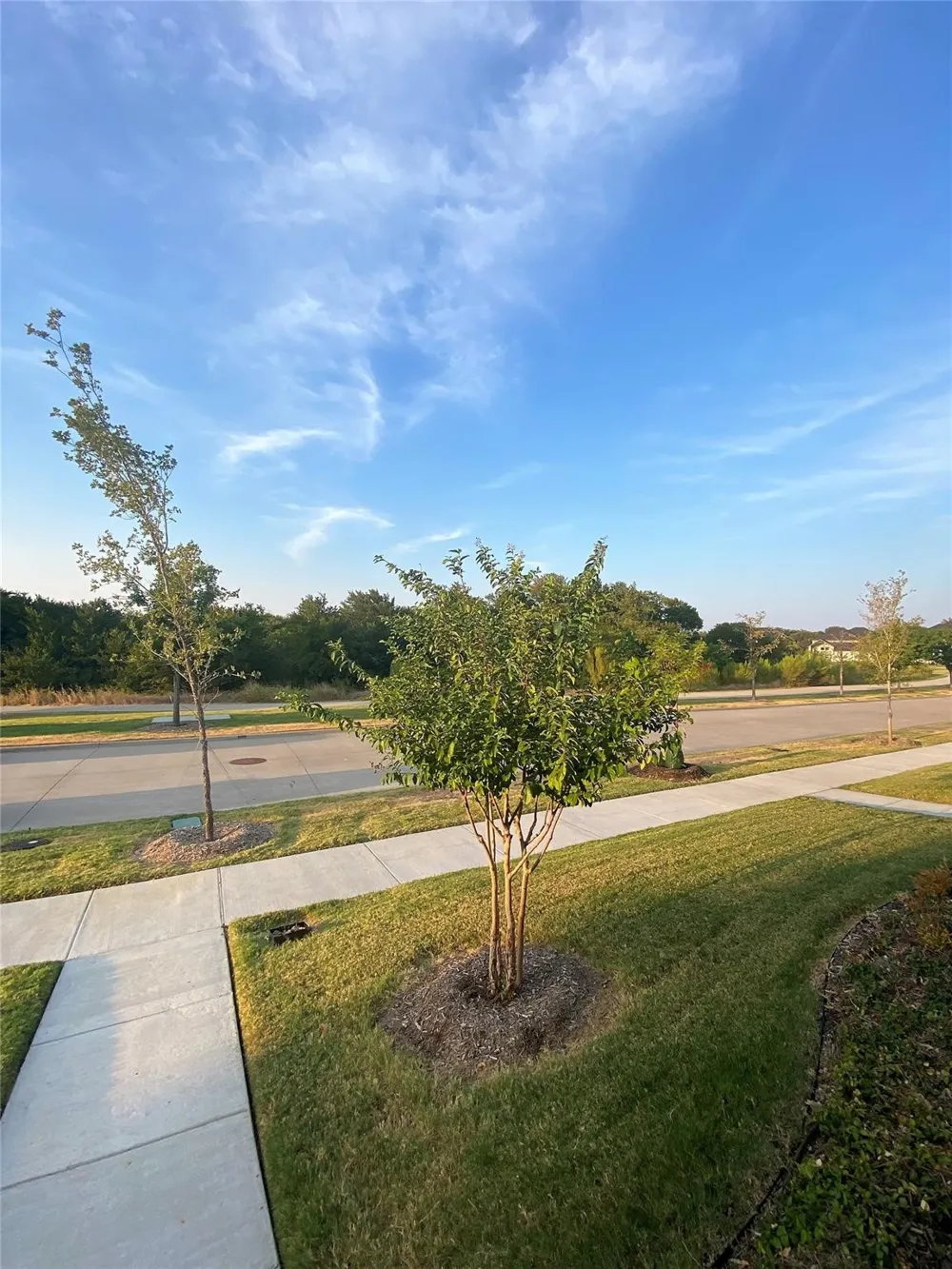 7297 Sacaton Trail Frisco, TX 75033