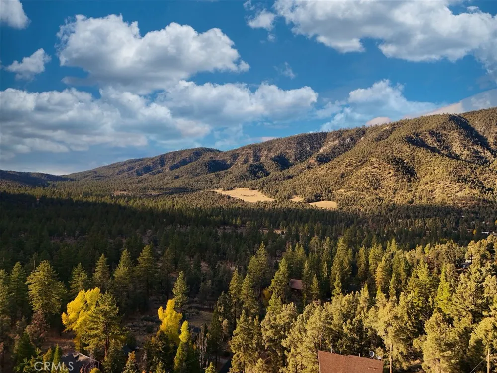 16717 Quail Pine Mountain Club, CA 93222