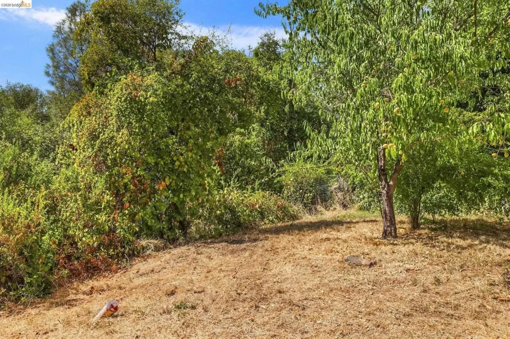 18948 North Drive Jamestown, CA 95327