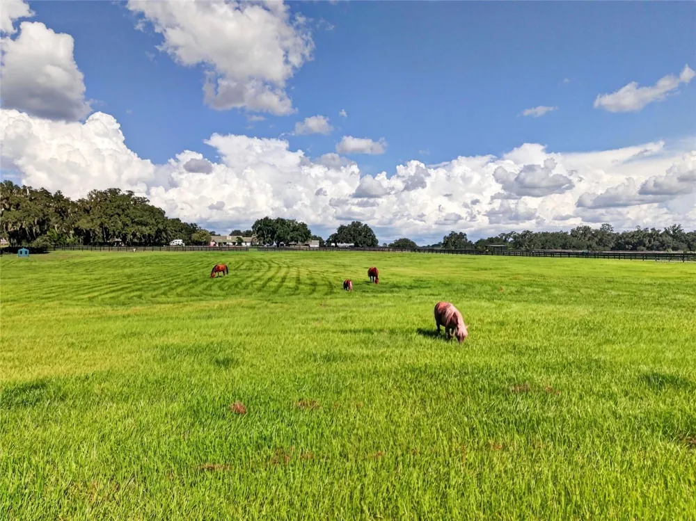 15939 NW 162ND TERRACE Williston, FL 32696