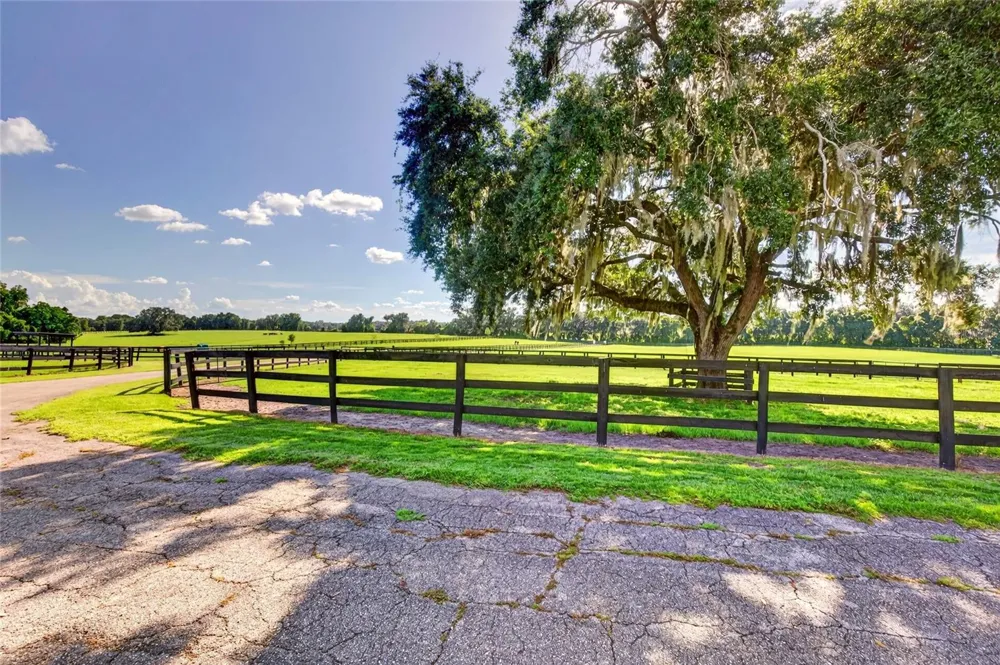 15939 NW 162ND TERRACE Williston, FL 32696