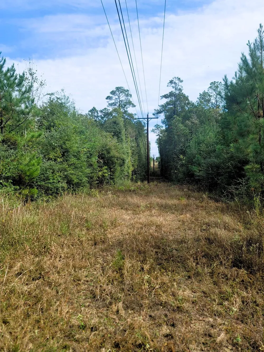 Us Highway 190 E Livingston, TX 77351