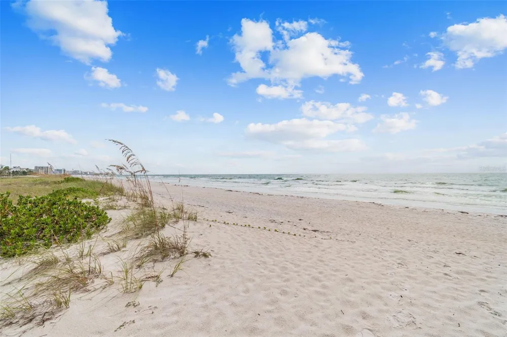 1129 CARLTON STREET Clearwater, FL 33755