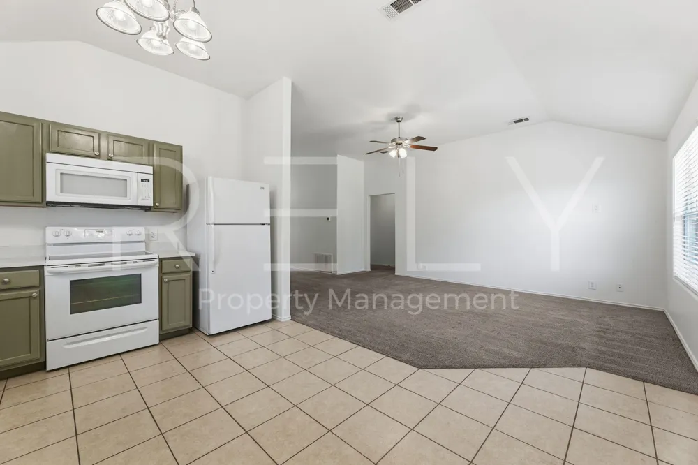 241 Moonstone Drive Jarrell, TX 76537