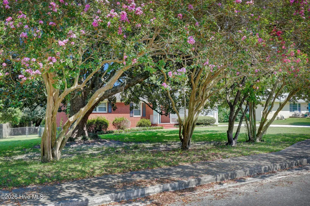 3309 Winston Boulevard Wilmington, NC 28403