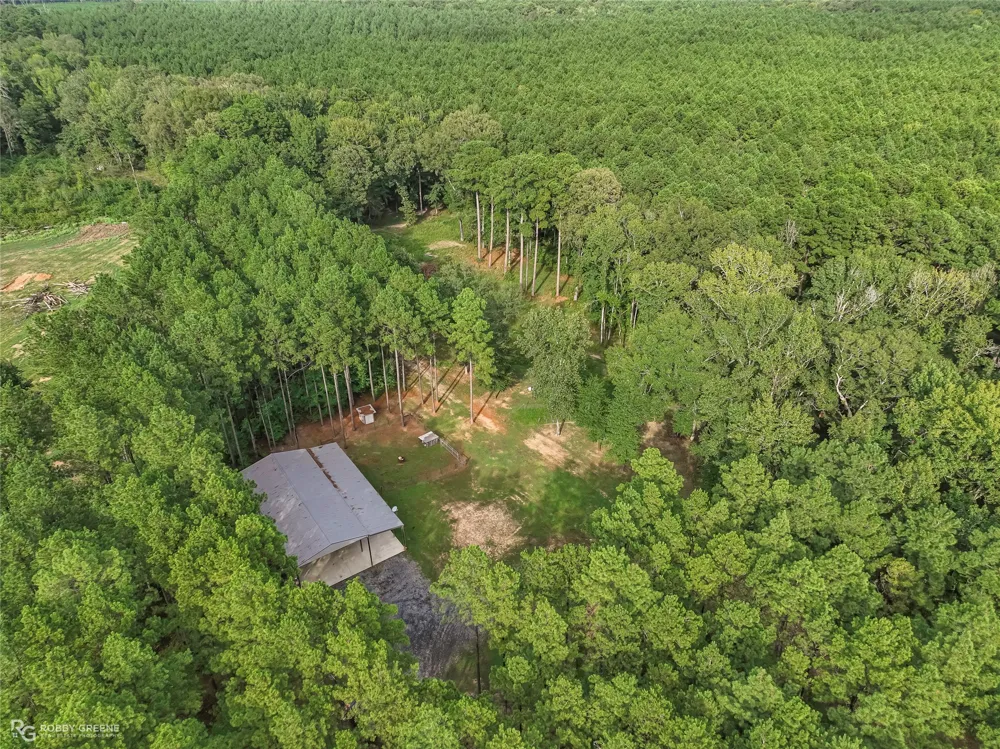 14546 Highway 157 Benton, LA 71006