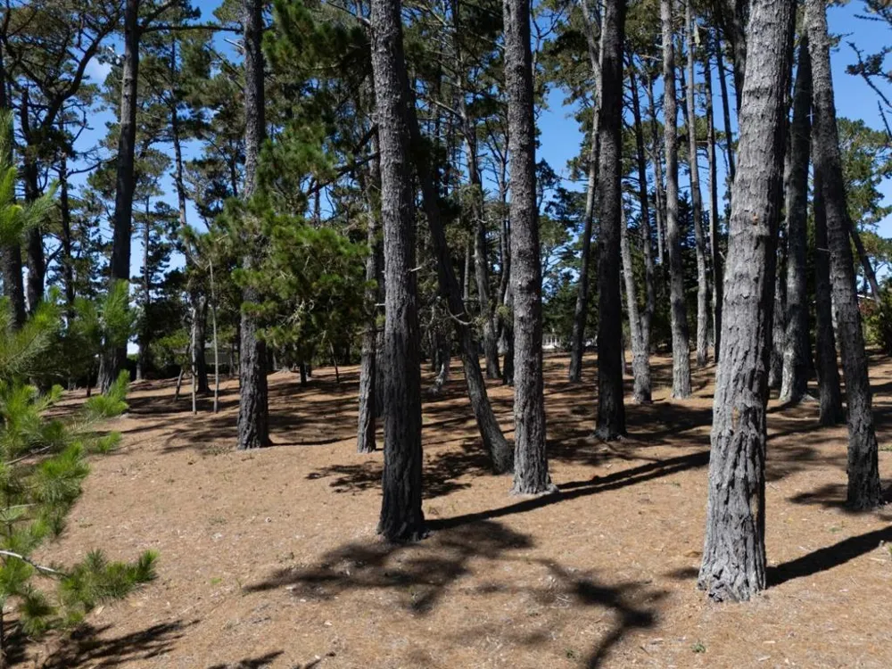 4045 Sunridge Road Pebble Beach, CA 93953