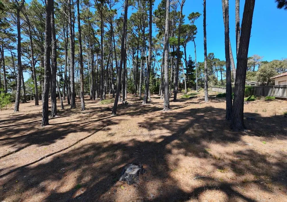 4045 Sunridge Road Pebble Beach, CA 93953