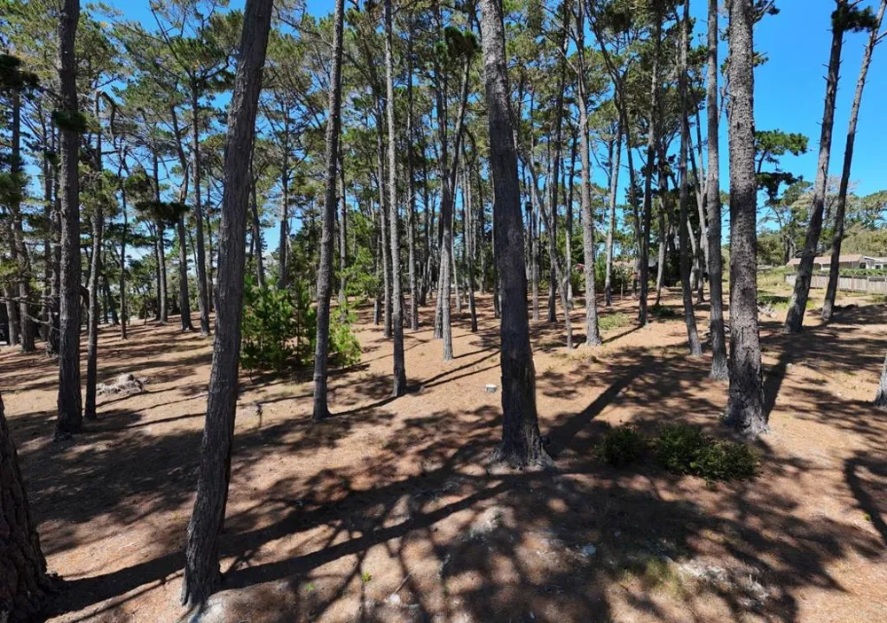 4045 Sunridge Road Pebble Beach, CA 93953