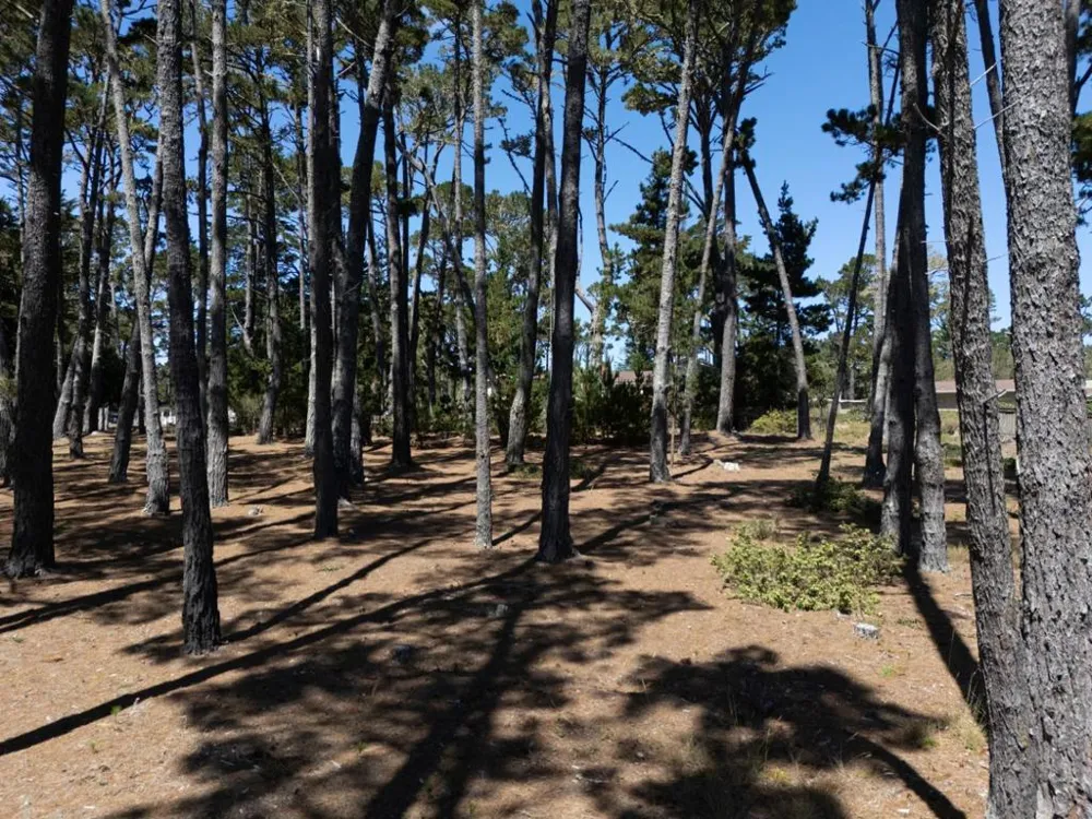 4045 Sunridge Road Pebble Beach, CA 93953