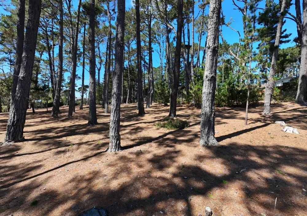 4045 Sunridge Road Pebble Beach, CA 93953