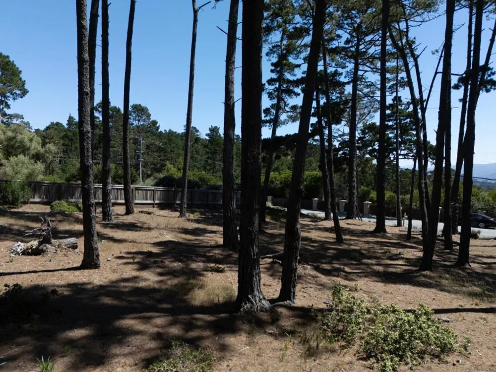 4045 Sunridge Road Pebble Beach, CA 93953
