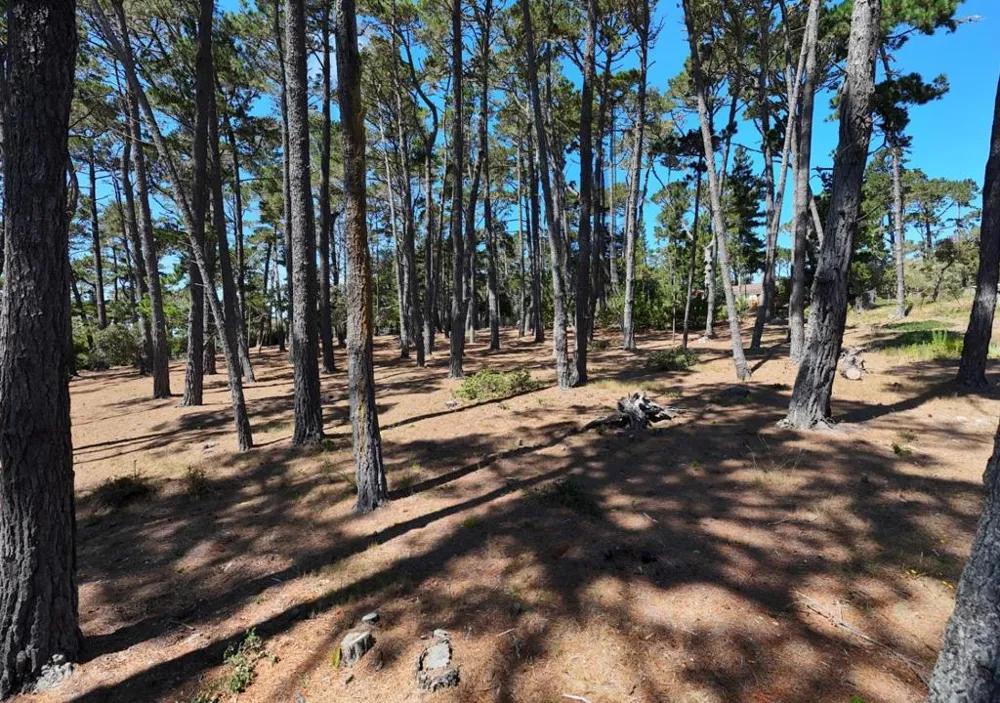 4045 Sunridge Road Pebble Beach, CA 93953