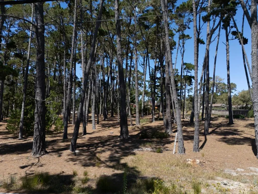 4045 Sunridge Road Pebble Beach, CA 93953