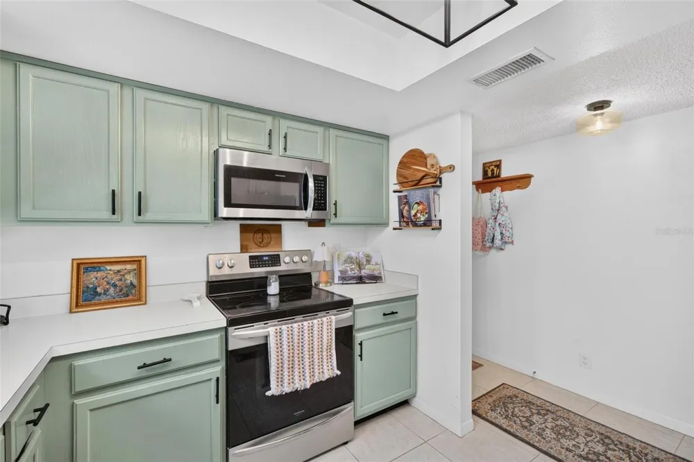 1602 HAMMOCK PINE BOULEVARD #1602 Clearwater, FL 33761