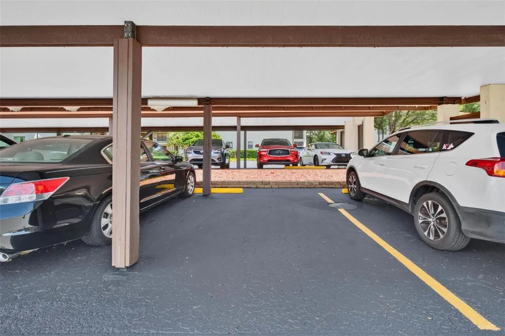 1602 HAMMOCK PINE BOULEVARD #1602 Clearwater, FL 33761