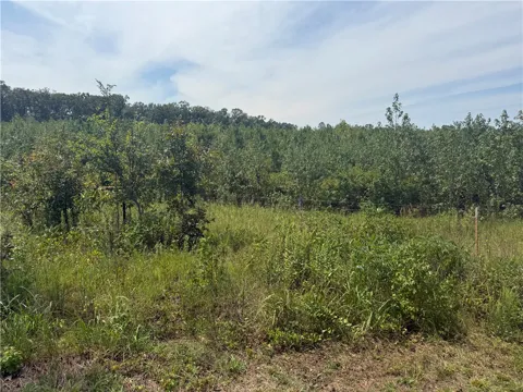 Williams Ridge Drive