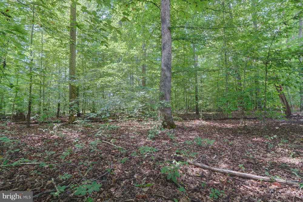 15308 DRUMMERS LANE Orange, VA 22960