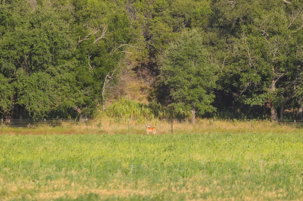 15104 N Hwy 281 Lampasas, TX 76550