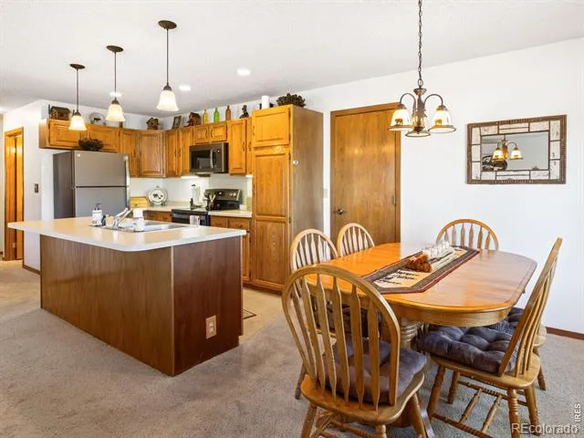 1787 Olympian Lane Estes Park, CO 80517