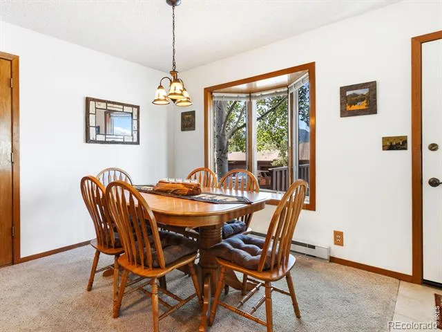 1787 Olympian Lane Estes Park, CO 80517