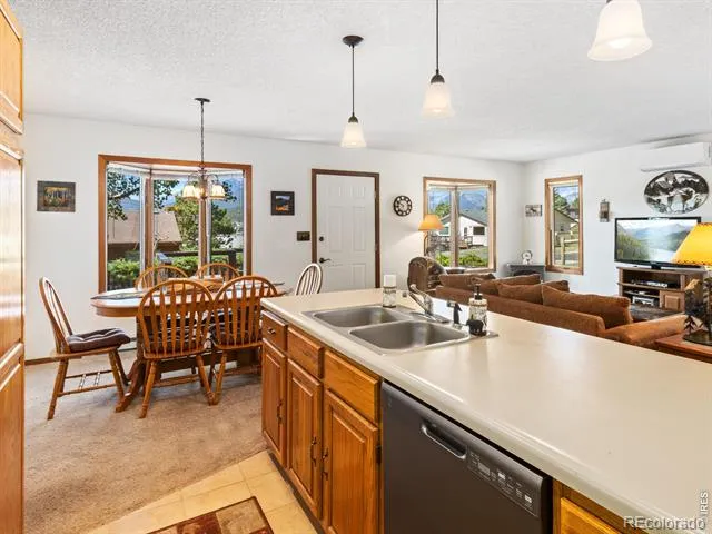 1787 Olympian Lane Estes Park, CO 80517