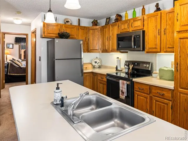 1787 Olympian Lane Estes Park, CO 80517