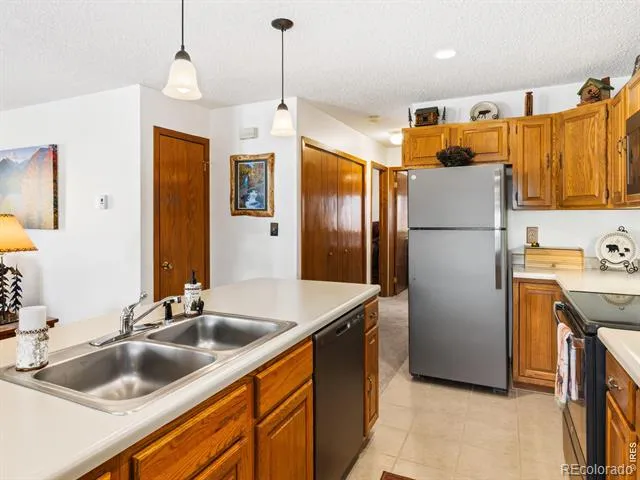 1787 Olympian Lane Estes Park, CO 80517