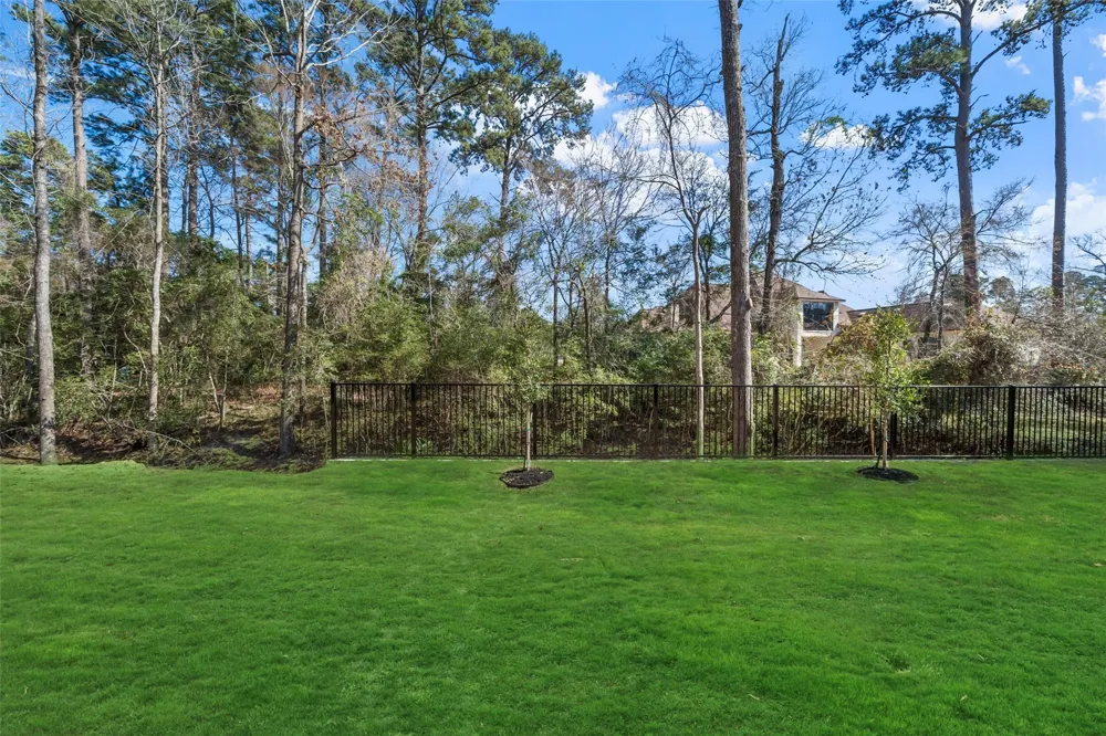 258 Pinerock Lane Montgomery, TX 77356
