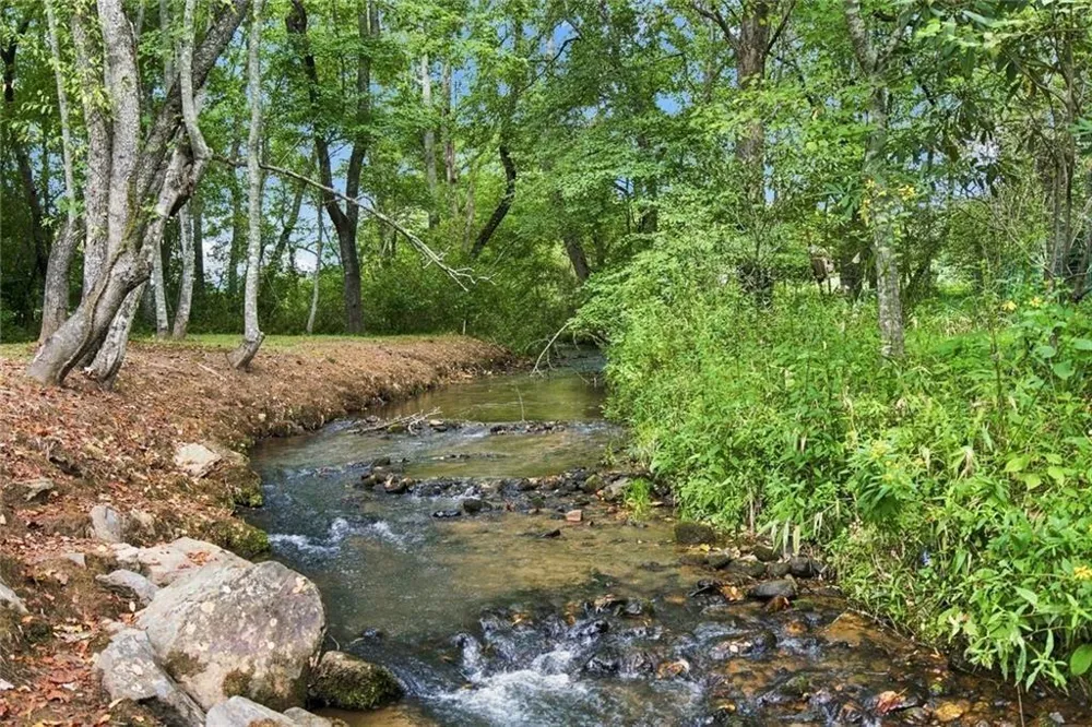 33 Pigeon Creek Drive Blue Ridge, GA 30513