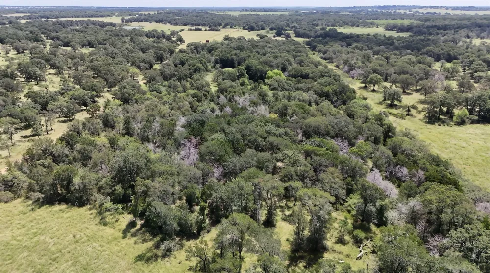 2 191 Paffen Rd Paige, TX 78659