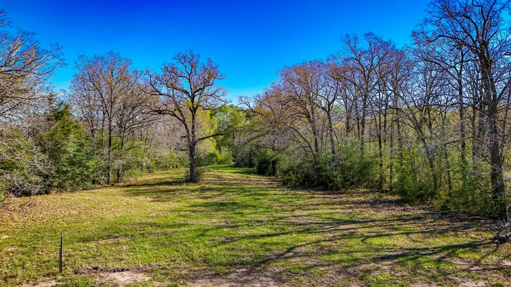 Connor Landing Madisonville, TX 77864