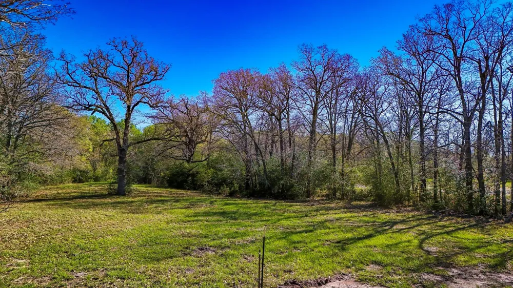 Connor Landing Madisonville, TX 77864