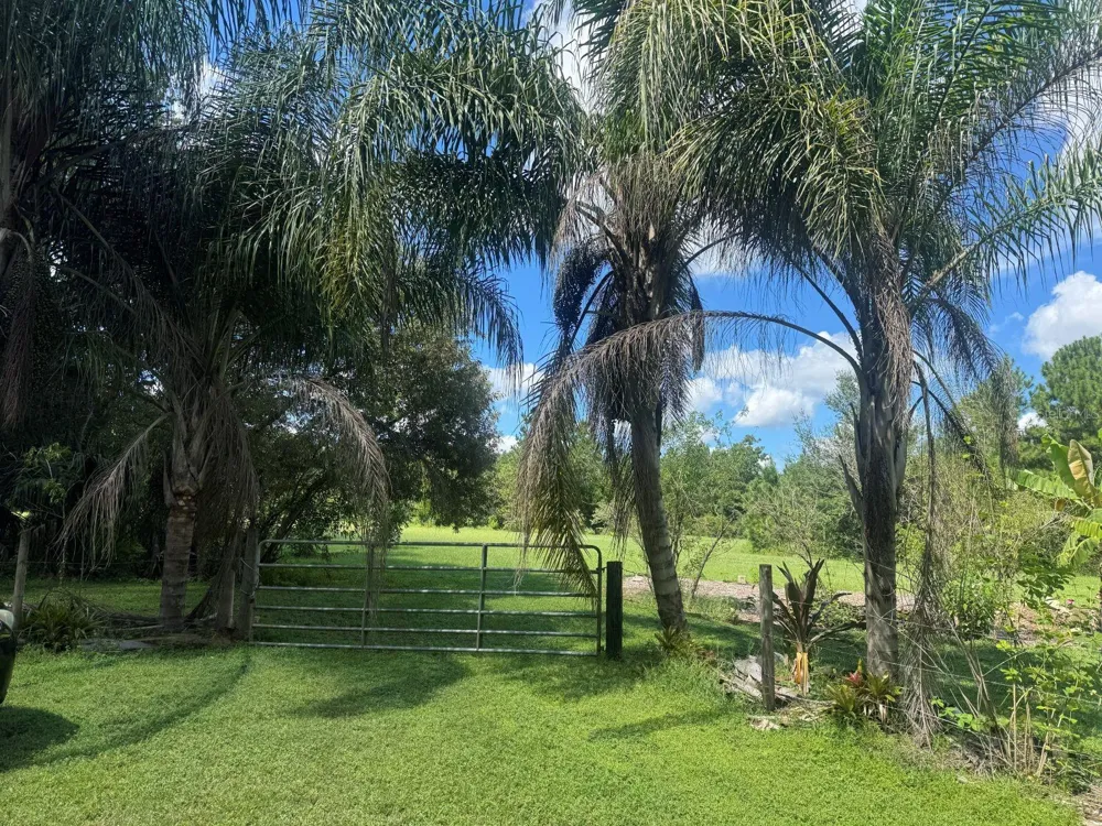 MECCA HAMMOCK TRAIL Sanford, FL 32773