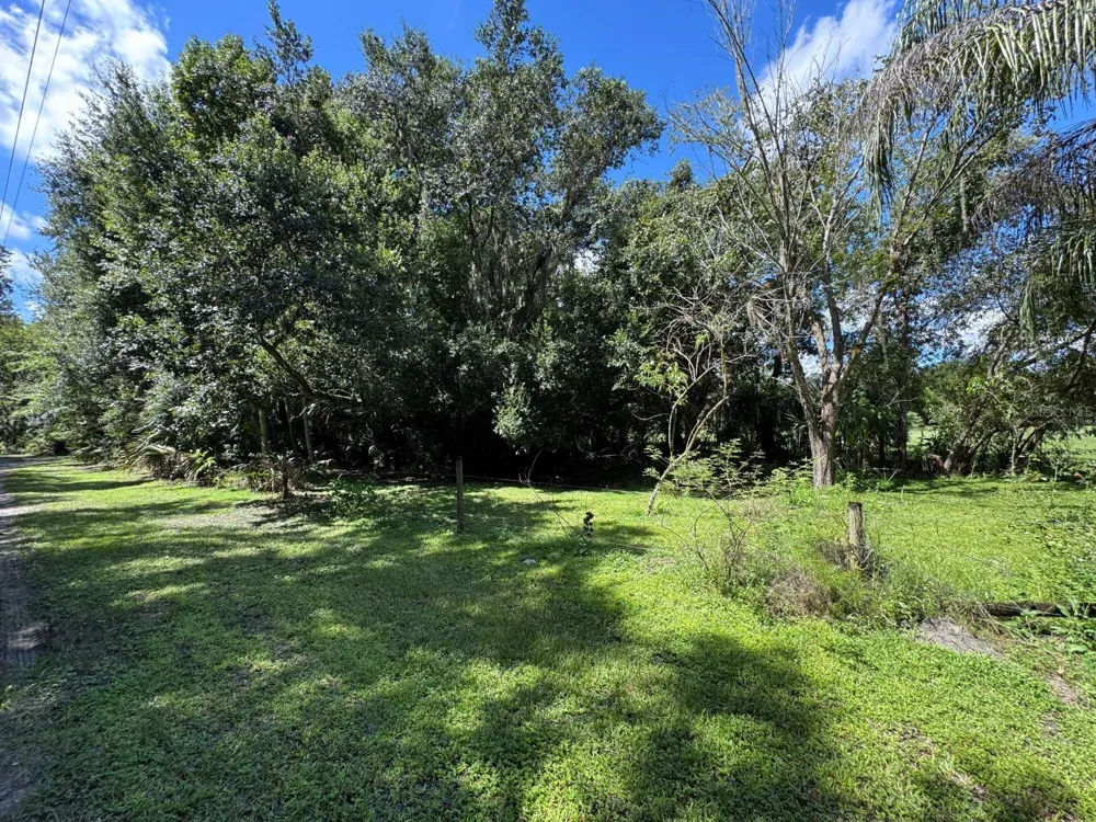 MECCA HAMMOCK TRAIL Sanford, FL 32773