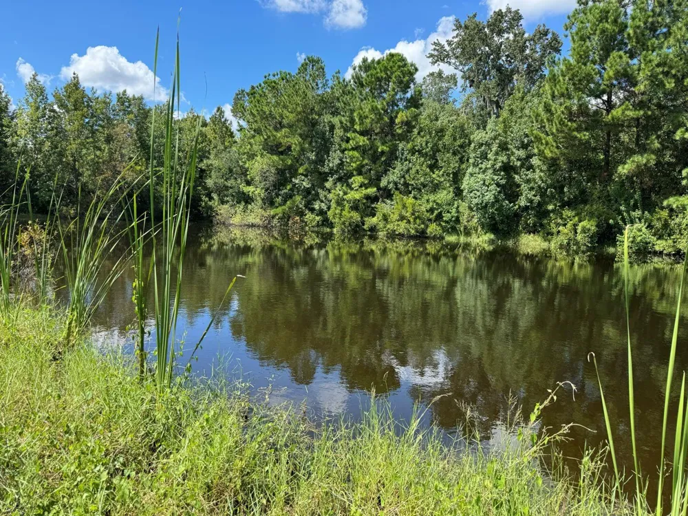 MECCA HAMMOCK TRAIL Sanford, FL 32773