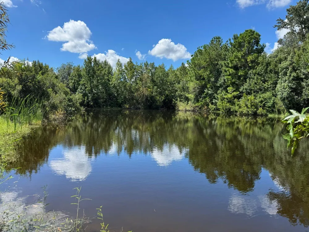 MECCA HAMMOCK TRAIL Sanford, FL 32773