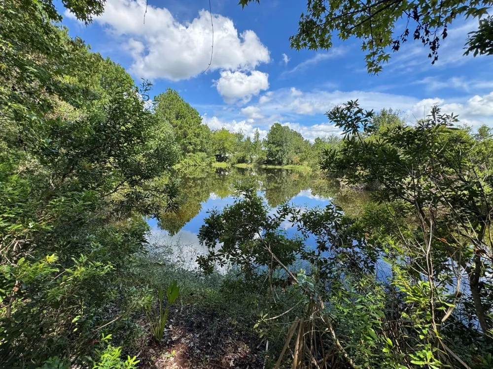 MECCA HAMMOCK TRAIL Sanford, FL 32773