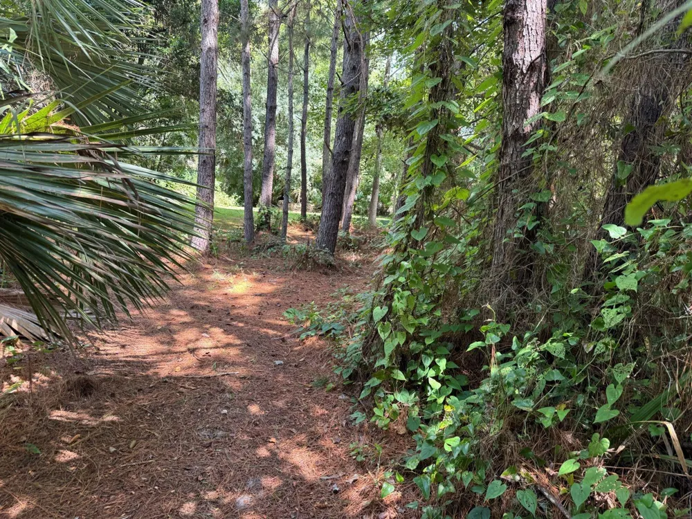 MECCA HAMMOCK TRAIL Sanford, FL 32773