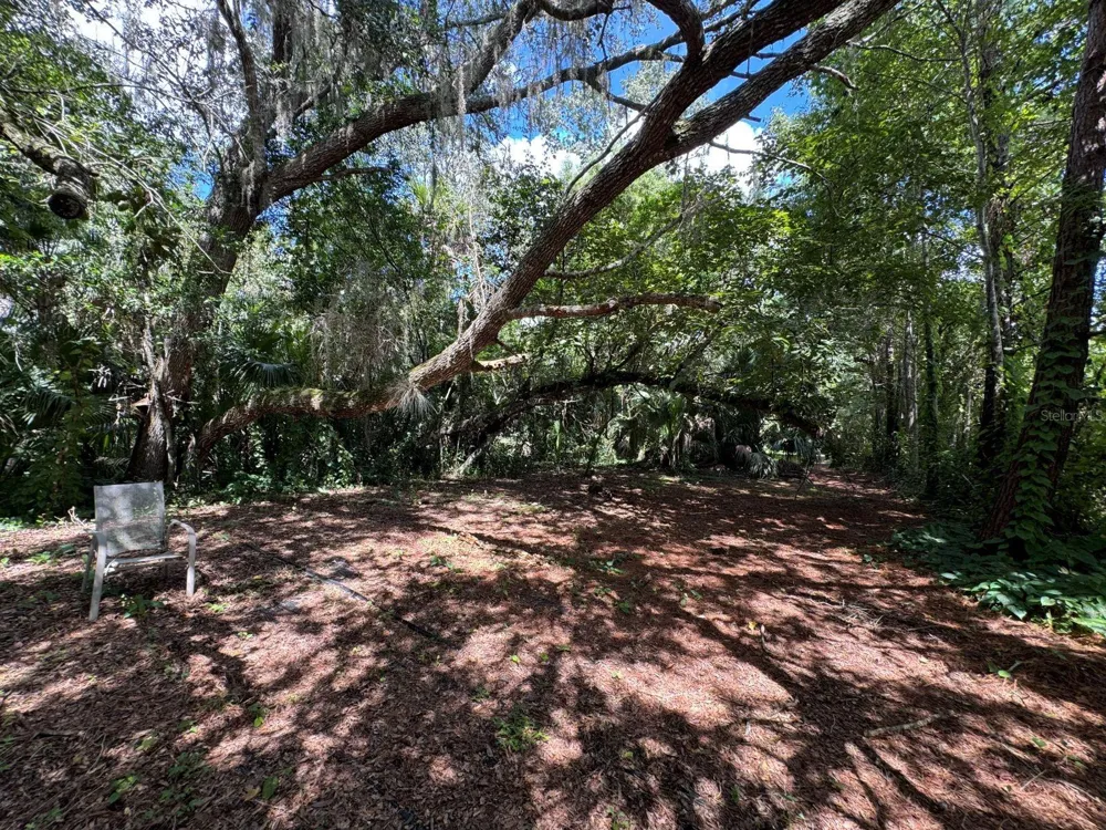 MECCA HAMMOCK TRAIL Sanford, FL 32773