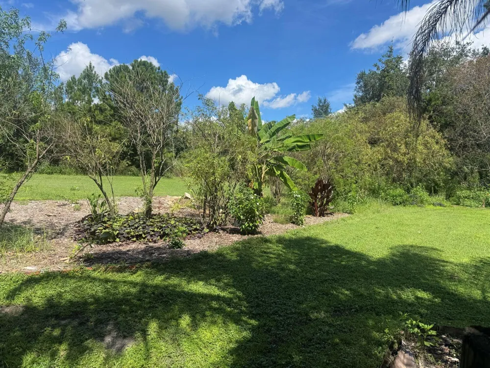MECCA HAMMOCK TRAIL Sanford, FL 32773