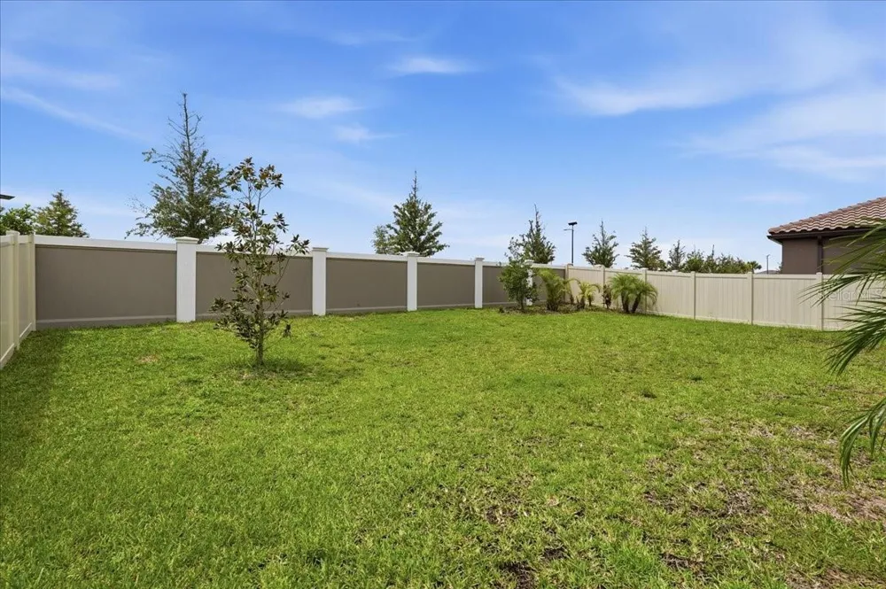 11232 RUSTIC TIMBER LOOP San Antonio, FL 33576
