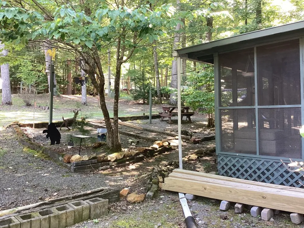 4423 Rock Creek Road Hiawassee, GA 30546