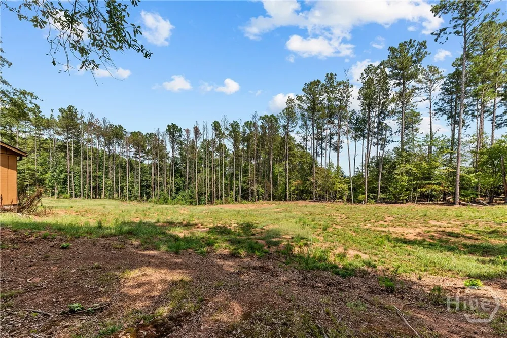 499 Double Branch Road Road Danielsville, GA 30633