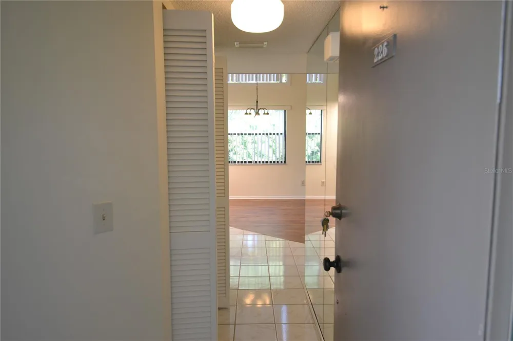 226 WOODLAKE WYNDE Oldsmar, FL 34677