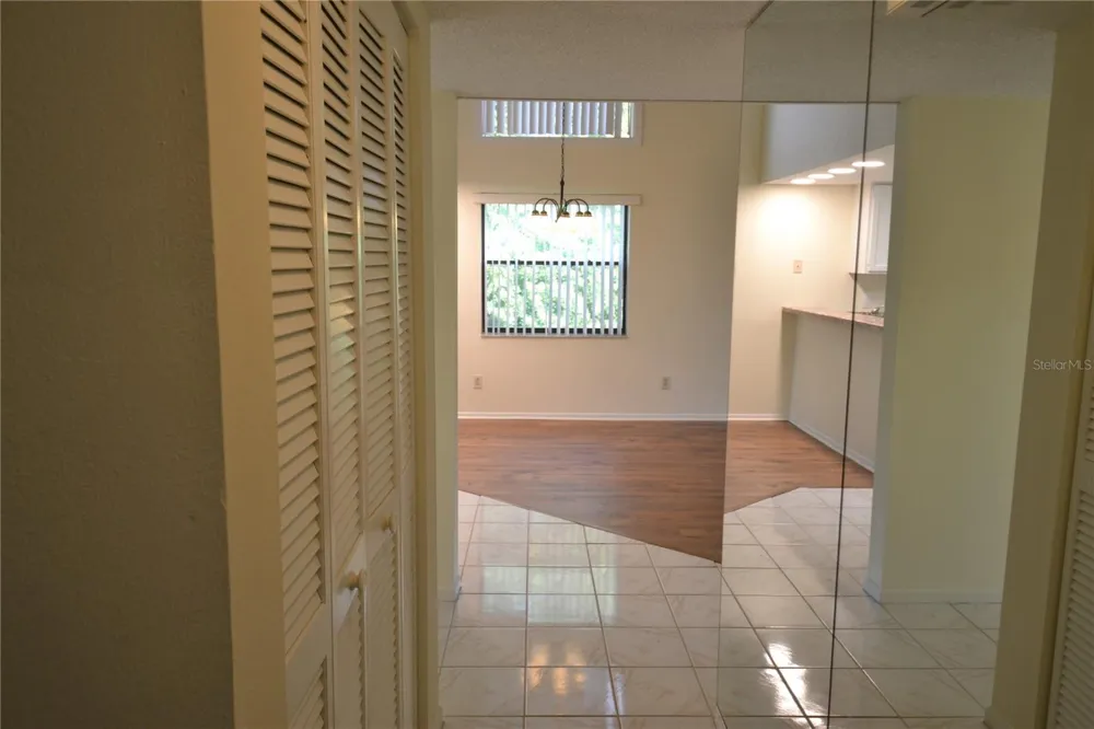 226 WOODLAKE WYNDE Oldsmar, FL 34677
