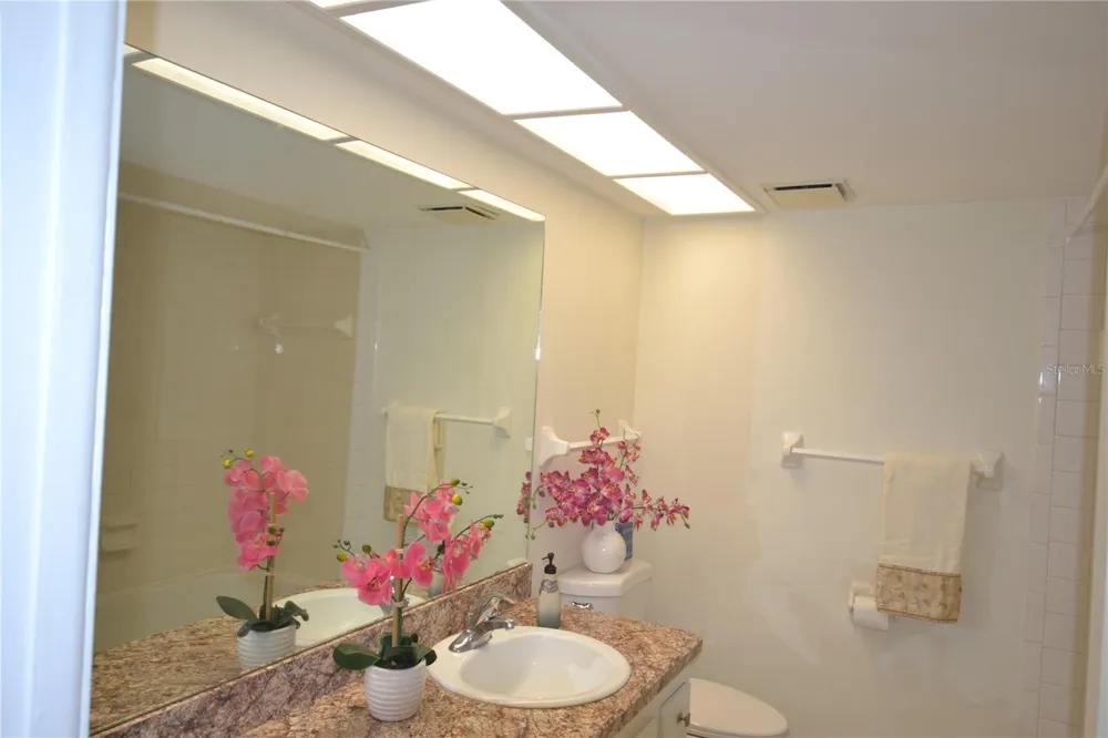 226 WOODLAKE WYNDE Oldsmar, FL 34677